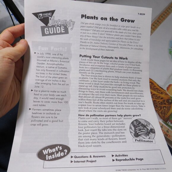 Plants on the Grow Extra Large BULLETIN BOARD SET LAMINATED  Classroom Posters - Picture 8 of 12